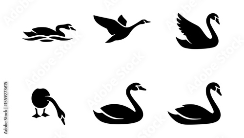 Black swan illustrations in different poses, showcasing grace and elegance