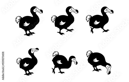 A black and white illustration of several dodo birds in various poses. A unique extinct flightless bird with distinctive appearance and posture.