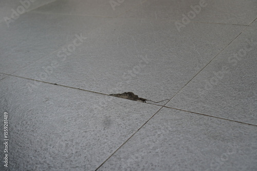 Gray Tile Floor with a Broken Section