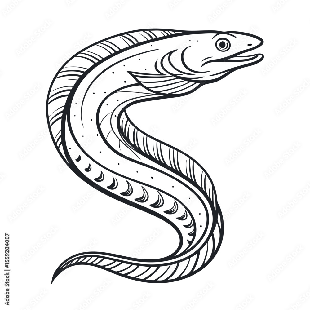 Fototapeta premium Elegant Line Art Illustration of a Moray Eel Aquatic Life, Ocean Depths, Underwater World, Marine Creature, Sea Serpent Design