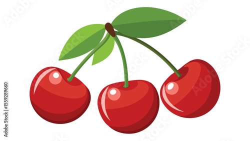 Simple vector illustration of cherries