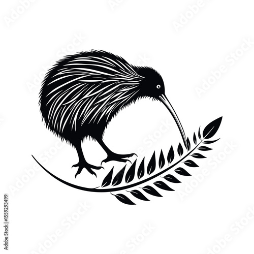 Majestic Kiwi Bird Silhouette with Fern A Stunning Black and White Illustration of New Zealand's National Icon