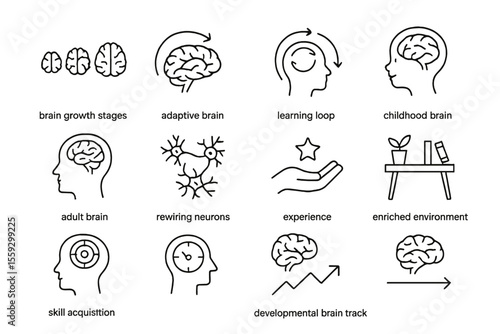 Brain development stages and neural adaptation icons