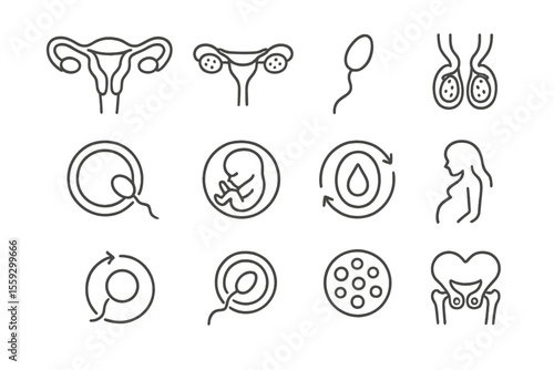Medical icons of fertility and pregnancy processes in modern design