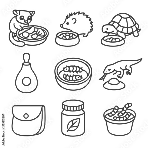 Exotic Pet Feeding Icons. Line style icons of exotic pet feeding: sugar glider fruit tray, hedgehog kibble bowl, turtle food dish,
