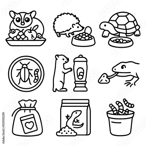 Exotic Pet Feeding Icons. Line style icons of exotic pet feeding: sugar glider fruit tray, hedgehog kibble bowl, turtle food dish,