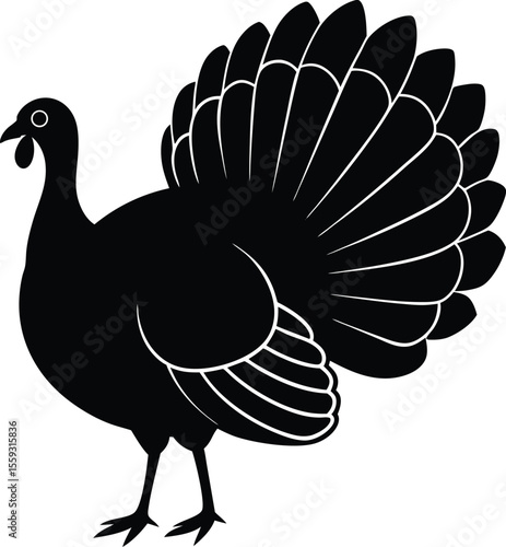 A Majestic Silhouette of a Wild Turkey Displaying its Fanned Tail Feathers. Majestic Wild Turkey Silhouette with Fanned Tail Feathers | Bold Nature Illustration.