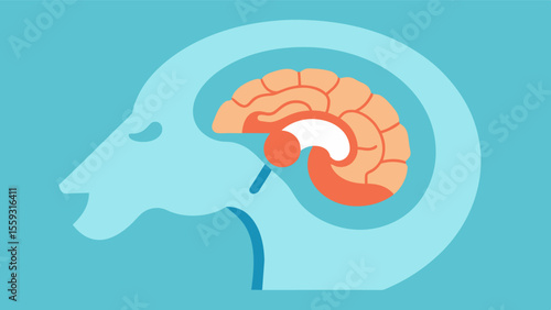 Crosssection depiction of the hippocampus highlighting its role in memory formation and retrieval.. Vector illustration