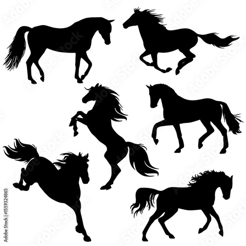 Cavalo