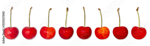 さくらんぼイラストセット_8つのさくらんぼ