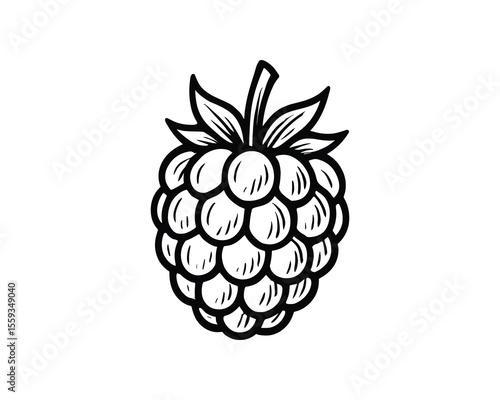 Detailed Raspberry Illustration with Leafy Crown on a Clean White Background