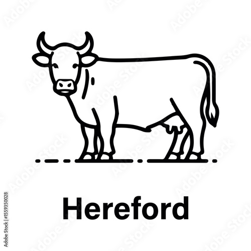 Hereford Cow Line Art Black and White Illustration