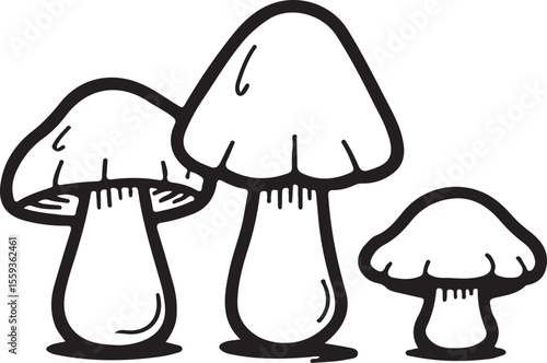 Two or three boletus mushrooms outline illustration with classic shapes