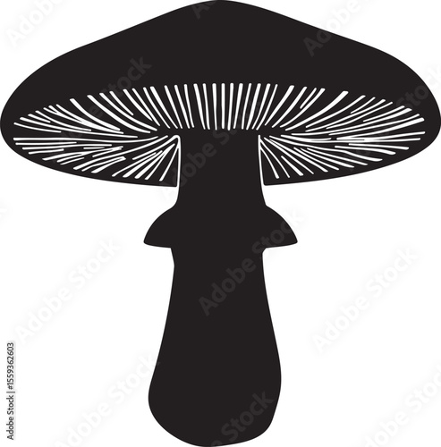 Minimalist boletus mushroom silhouette illustration with smooth lines