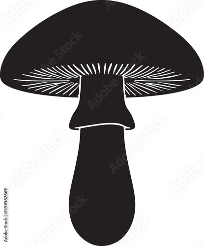 Botanical boletus mushroom silhouette illustration for packaging