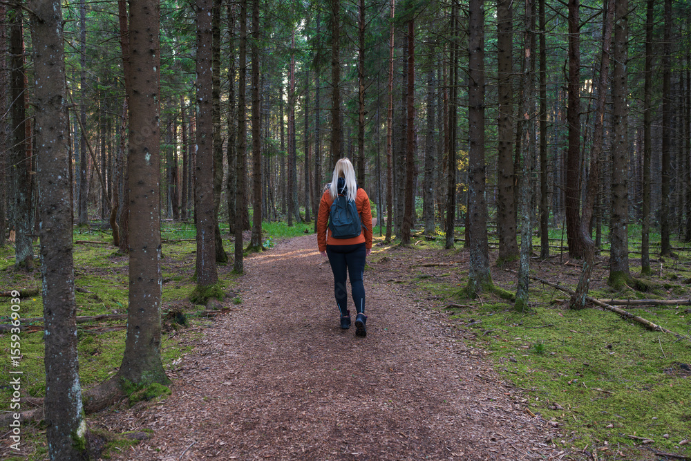 A female tourist with a backpack walks alone on a trail in a dense pine forest. Concept of active recreation, exploration, and unity with nature. A female tourist with a backpack walks alone on a trail in a dense pine forest. Concept of active recreation, exploration, and unity with nature.