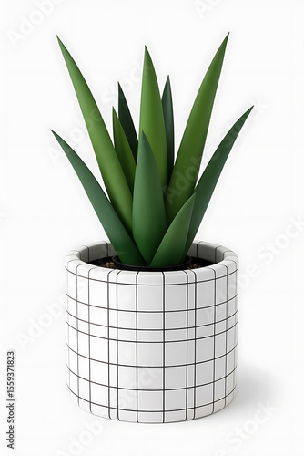 A small succulent plant in a white pot with a black grid pattern.
