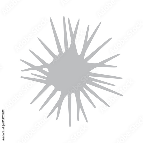 sea ​​urchin icon