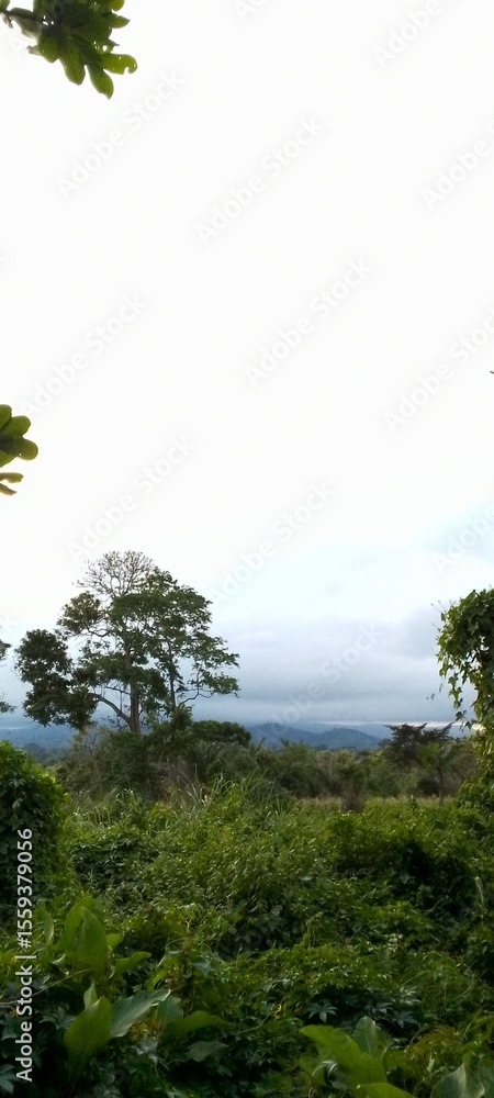 Obraz premium Nature / Landscapes 