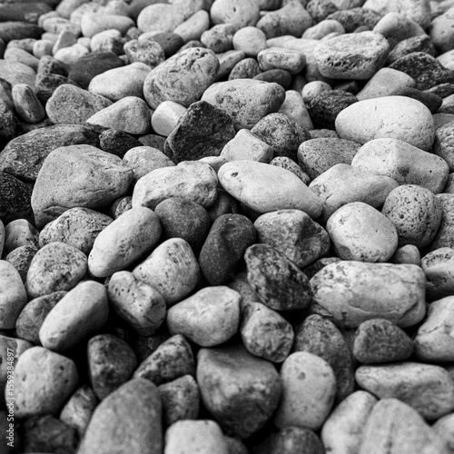 rocks on the beach