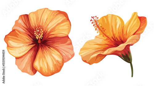 Colorful Flower Vector Kid Drawing Isolated on White Background