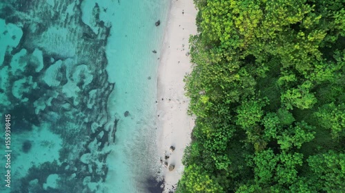 Bali Aerial Shot of Tropical Waves Rolling Onto Golden Beach and Forest