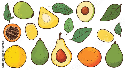 Fresh Avocado Isolated on White Background for Creative Culinary Designs