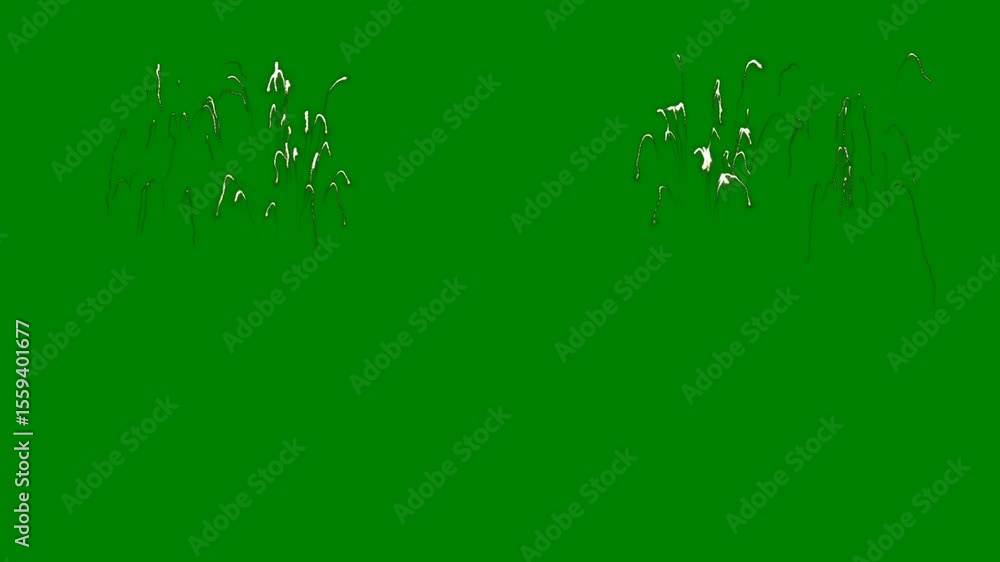 A green background with white border and screen bunch of wheat on fireworks some paint it grass in flowers lines green screen animated chromakey background figure gesture depth colorful A green background with white border and screen bunch of wheat on fireworks some paint it grass in flowers lines green screen animated chromakey background figure gesture depth colorful