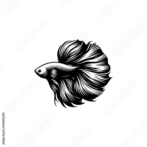 A detailed monochrome illustration of a Betta fish with flowing fins and intricate line work.