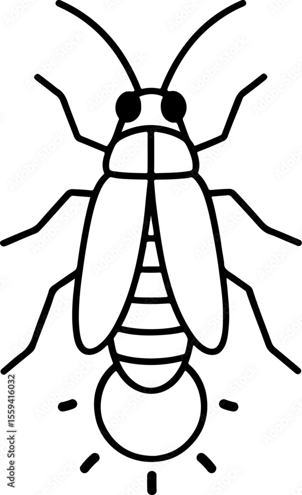 Obraz premium 개똥벌레 반딧불