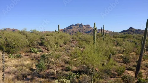 Aerial drove of the Sonoran Desert and saguaro cactus near the Superstition Mountains in Arizona. 