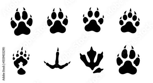 Collection of animal footprints including mammal and avian tracks in a graphic illustration style