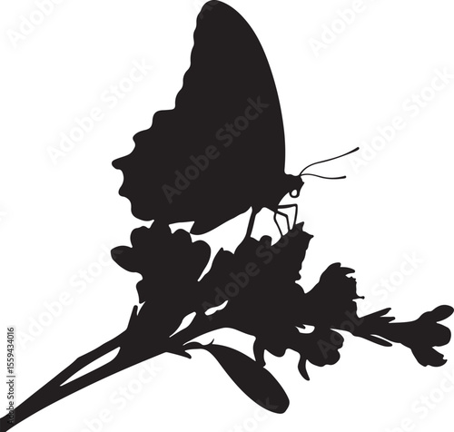 butterfly silhouette vector