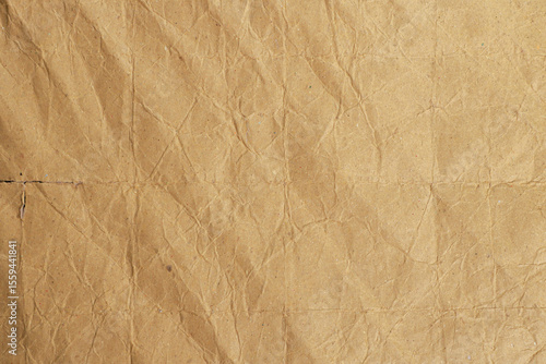 Wallpaper Mural Crumpled Brown Kraft Paper Texture

 Torontodigital.ca