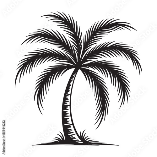 Monochromatic Palm Tree Silhouette Tropical Vacation Vibes and Island Getaways Dreamy Beaches and Sunshine Represented in Striking Black and White