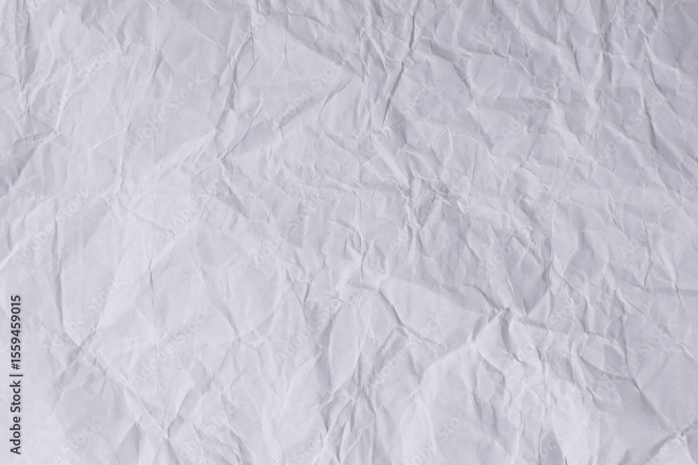 White Wrinkled Paper Texture Background with Fold Line
White Wrinkled Paper Texture Background with Fold Line