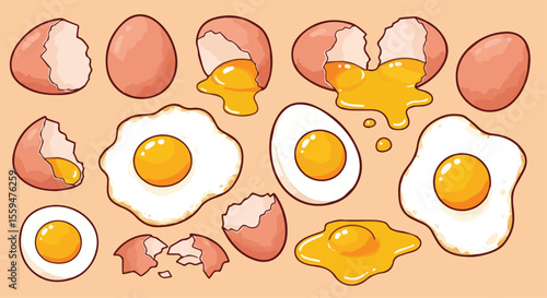 Set of Egg Illustrations - Whole, Cracked, Fried, and Boiled Eggs