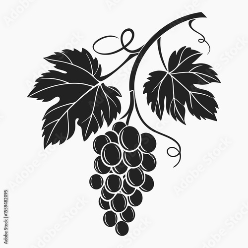 A detailed black and white illustration of a grapevine with a bunch of grapes, leaves, and curling tendrils.