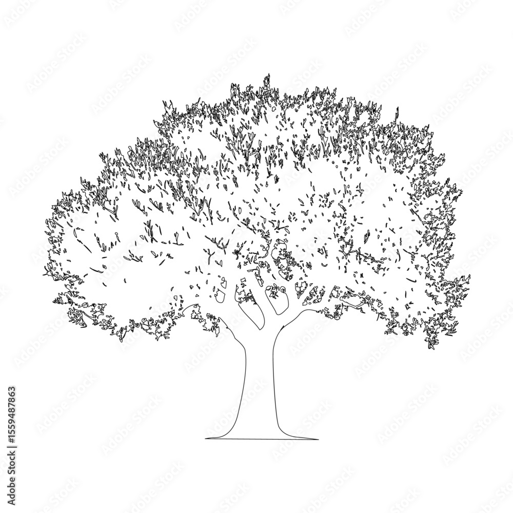 Obraz premium オリーブの木の線画イラスト_3