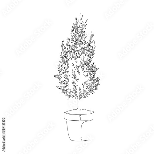オリーブの鉢植えの線画イラスト_1