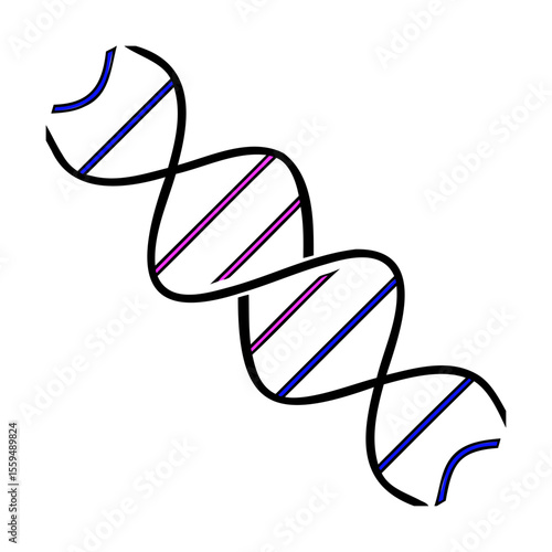 D N A Double Helix Illustration with Black Outline Blue and Pink Lines on White