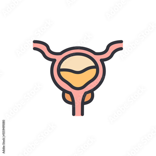 Stylized Representation Of The Urinary System With Transparent Background