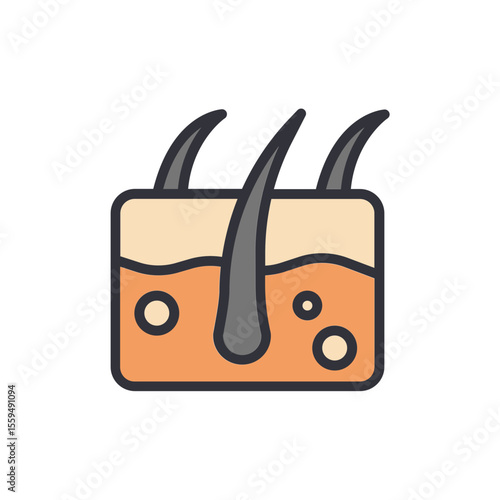 Depiction Of A Healthy Human Scalp And Hair Follicle Structure