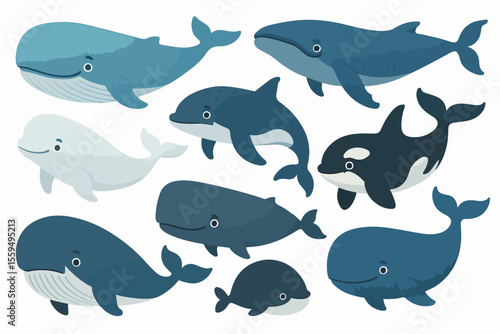 Vector Set Cartoon whales. Blue whale  humpback beluga killer bowhead orca cachalot underwater aquatic animal big fish sea ocean mammals marine under water giant swanky vector illustration