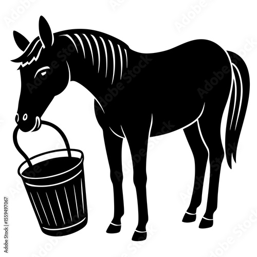 horse and foal