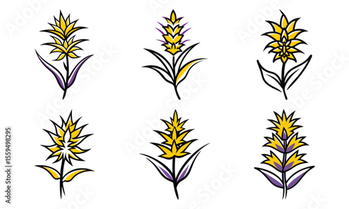 Bundle Allium Flower Spherical Bloom Flat Violet Fill Allium Flower Sphe 1 (5)