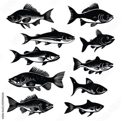 Walleye silhouette set, Black & White silhouette set