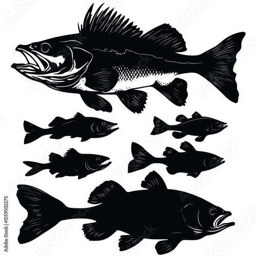 Walleye silhouette set, Black & White silhouette set