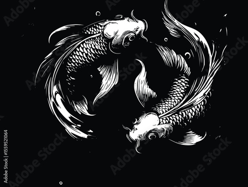 Elegant Koi Fish Pair: Dramatic Vector Illustration