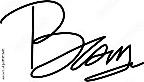 Handwritten Signature